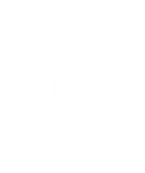 Footy Legend